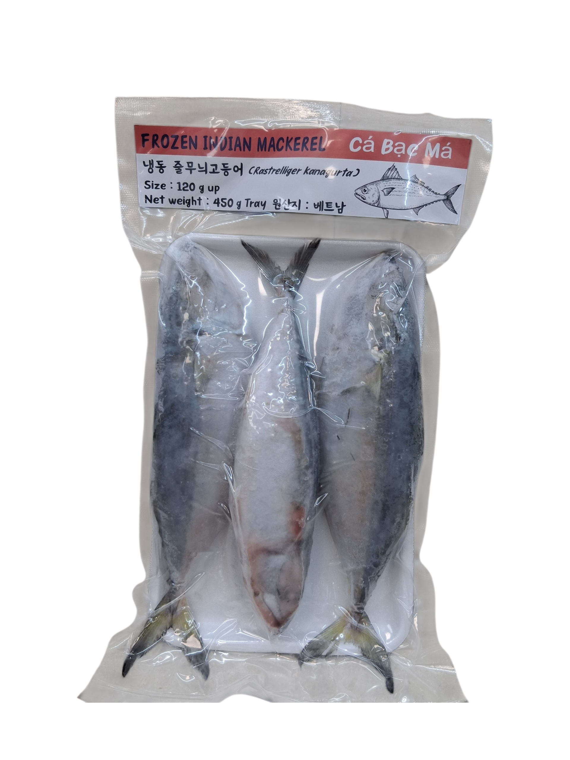 Frozen Mackerel( ম্যাকারেল) – Whole Cleaned Fish (450g Pack) - Image 2