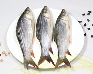 নলা মাছ - Halal Frozen Ribbon Fish (Belt Fish) | Lasso Brand | Premium Seafood | Clean & Frozen Fresh | Perfect for Desi Cooking in Korea