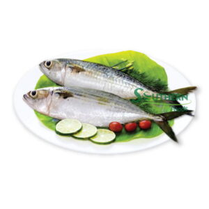 Frozen Mackerel( ম্যাকারেল) – Whole Cleaned Fish (450g Pack)