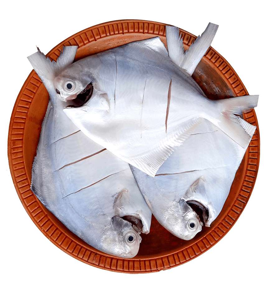 Frozen Silver Pomfret(রূপচাঁদা মাছ) – Whole Cleaned Rupchanda Fish (China) – 450g Pack - Image 2