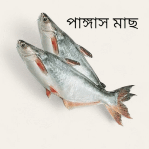 Frozen Pangas Fish(পাঙ্গাস মাছ) – 1.5kg Pangash Cut Pieces